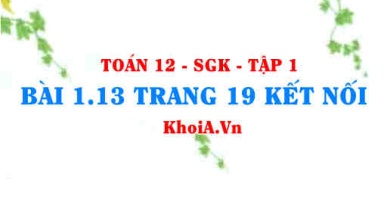 Bài 1.13 trang 19 Toán 12 tập 1 Kết nối tri thức